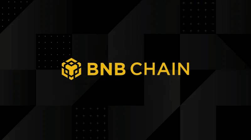 70% nhà đầu tư có lãi nhờ vào memecoin trên BNB Chain