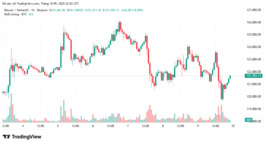 bieu-do-gia-btc-coinphoton-7 Bitcoin giảm xuống dưới 120.000 đô la kích hoạt cảnh báo về khả năng giảm thêm 10%