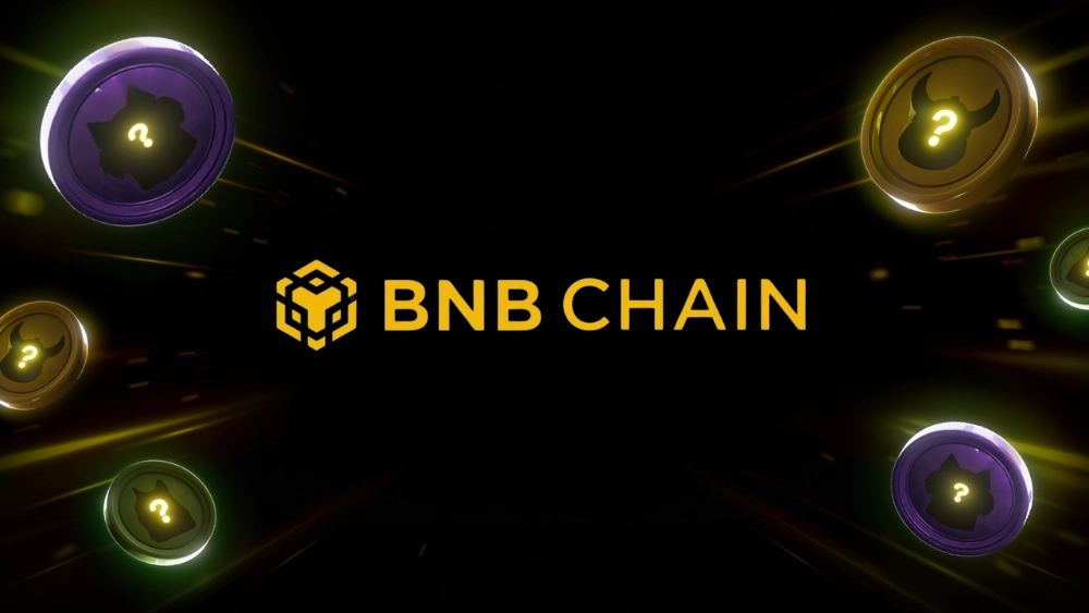 bnb-chain-h2whie5f