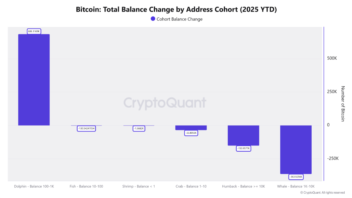 btc-ca-voi