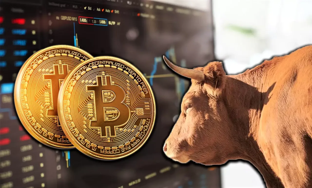 bull-1