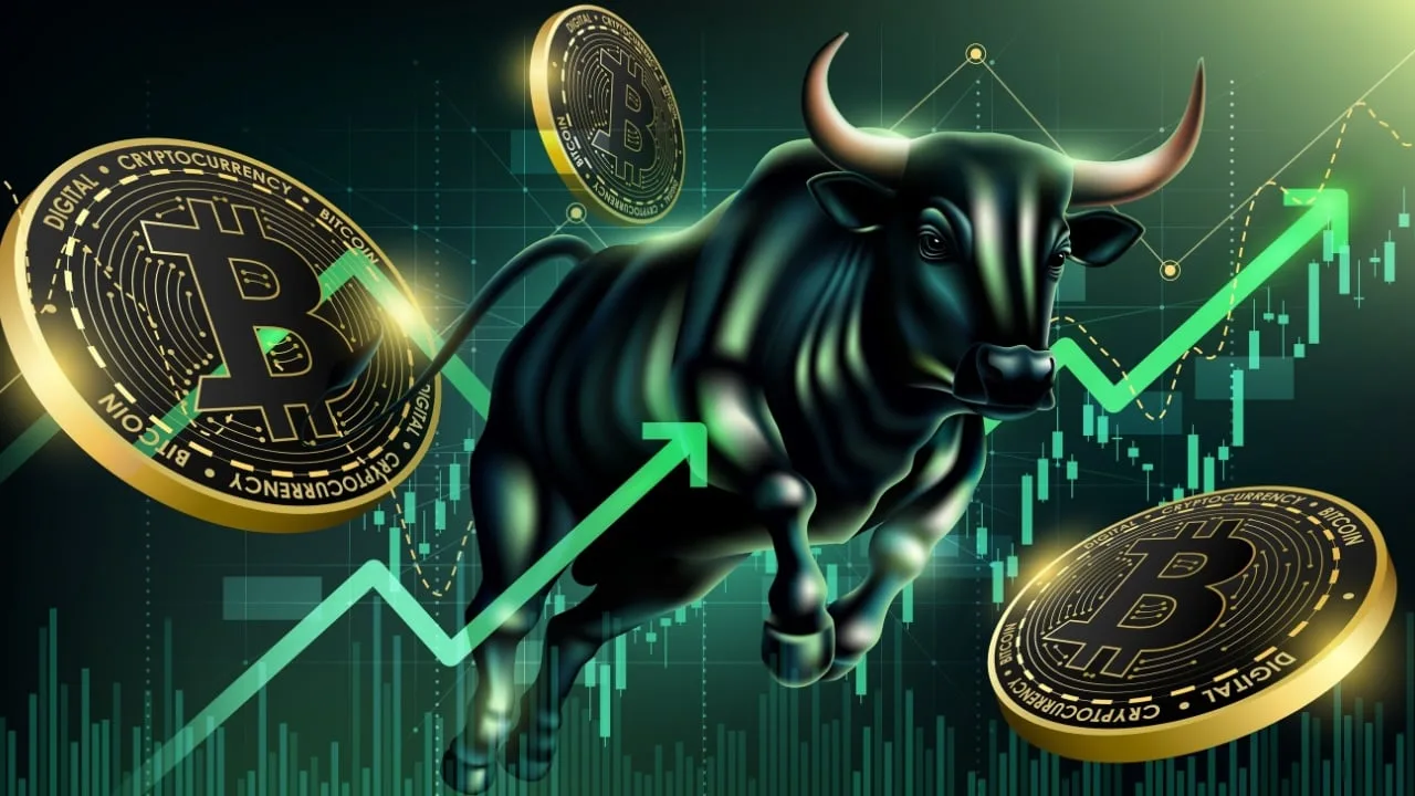 bull-jpg-1