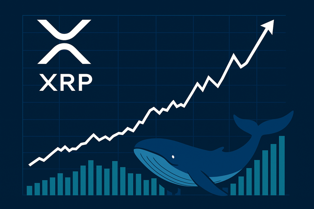 XRP cho thấy dấu hiệu phục hồi khi số lượng cá voi đạt ATH