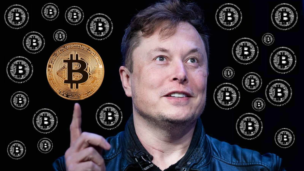 Musk lại khiến thị trường dậy sóng: Gọi Bitcoin là “tiền thật”, chê fiat “vô giá trị”!
