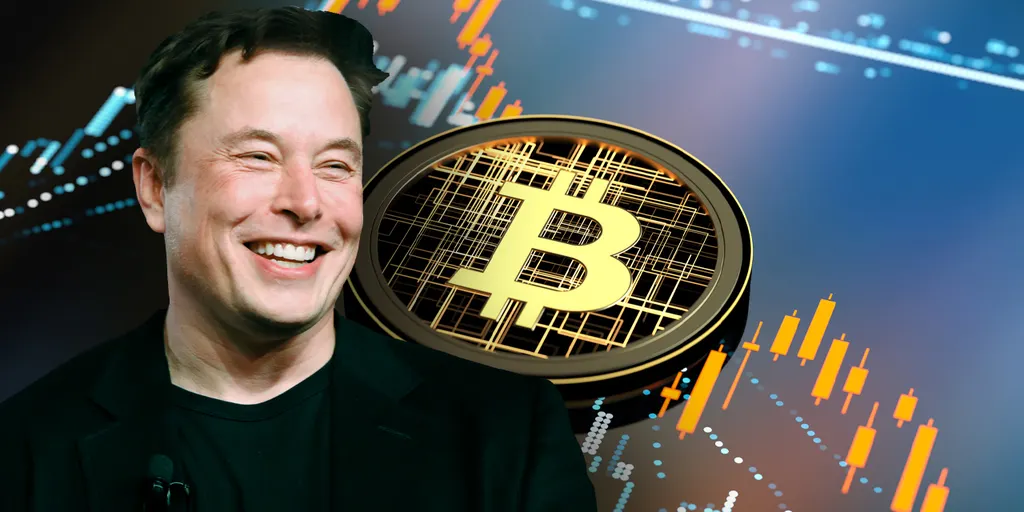 Ví Bitcoin bí ẩn của SpaceX “thức giấc” – Elon Musk đang chuẩn bị gì đây?