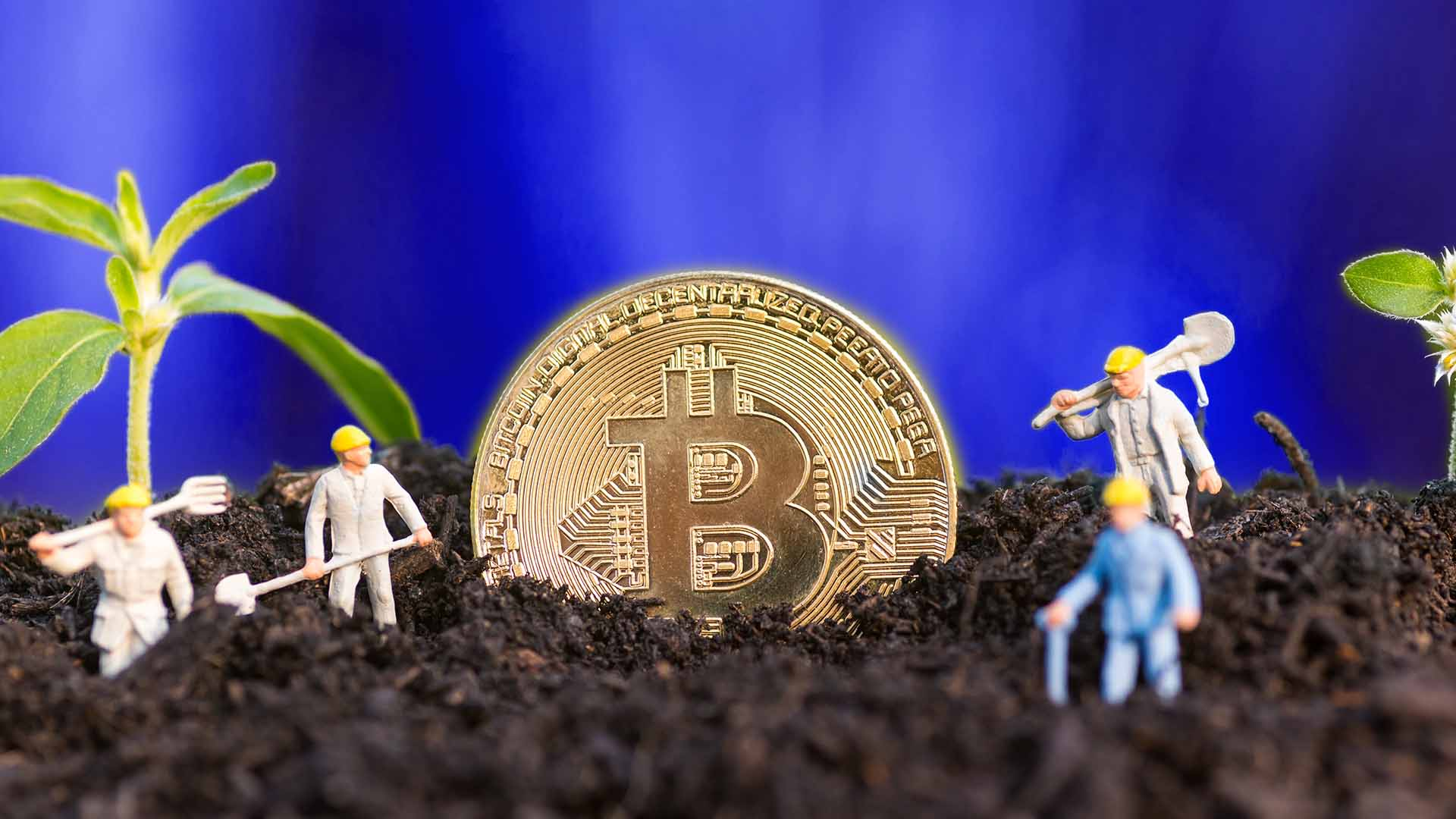 huong-dan-yield-farming huong dan Yield Farming