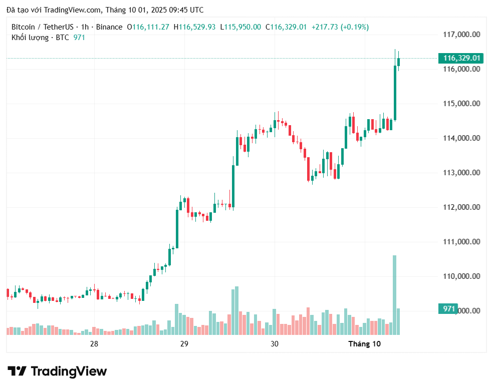 phan-tich-gia-btc-coinphoton CryptoQuant đưa ra chỉ báo quan trọng của Bitcoin trong tuần tới