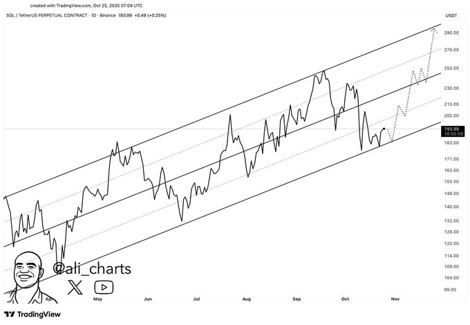 phan-tich-gia-sol-coinphoton-2 Giá Solana chạm mốc 200 đô la khi 47 triệu đô la lệnh short bị thanh lý