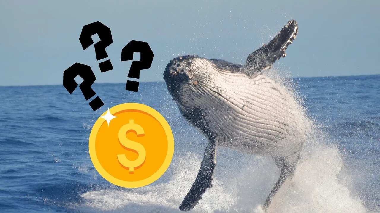 whale-jpg