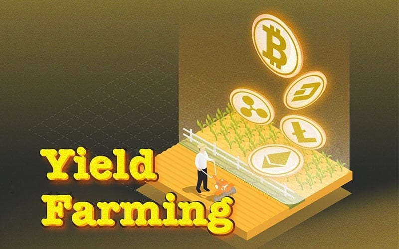 yield-farming-co-hoi-rui-ro yield farming co hoi rui ro